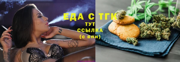 гидра Каменногорск