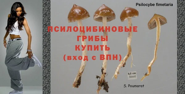 ГАЛЛЮЦИНОГЕННЫЕ ГРИБЫ Каменск-Шахтинский