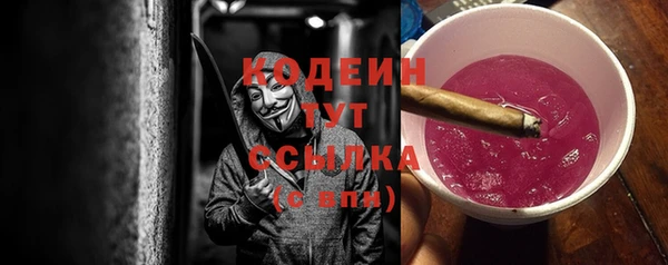гидра Каменногорск