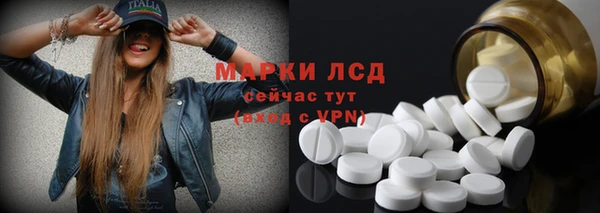 гидра Каменногорск
