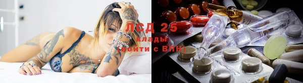 гидра Каменногорск