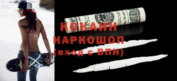 гидра Каменногорск