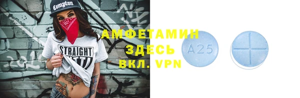 гидра Каменногорск