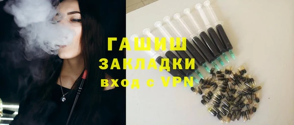 гидра Каменногорск