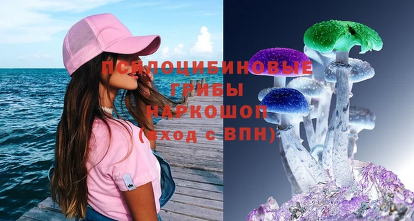 ГАЛЛЮЦИНОГЕННЫЕ ГРИБЫ Каменск-Шахтинский