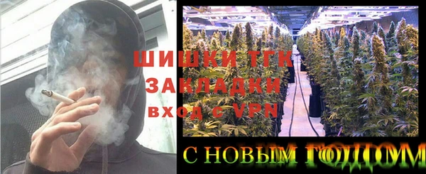 гидра Каменногорск