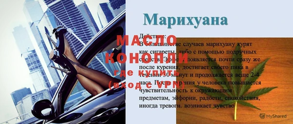 гидра Каменногорск