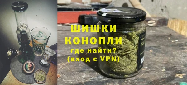 гидра Каменногорск
