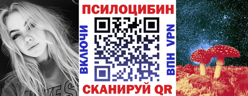 Купить где  Тверь  Галлюциногенные грибы Psilocybe 